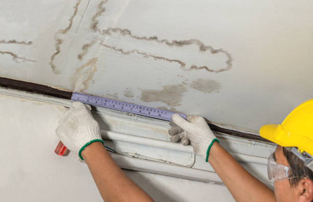 Affordable Water Damage Repair solutions in Flora, MS
